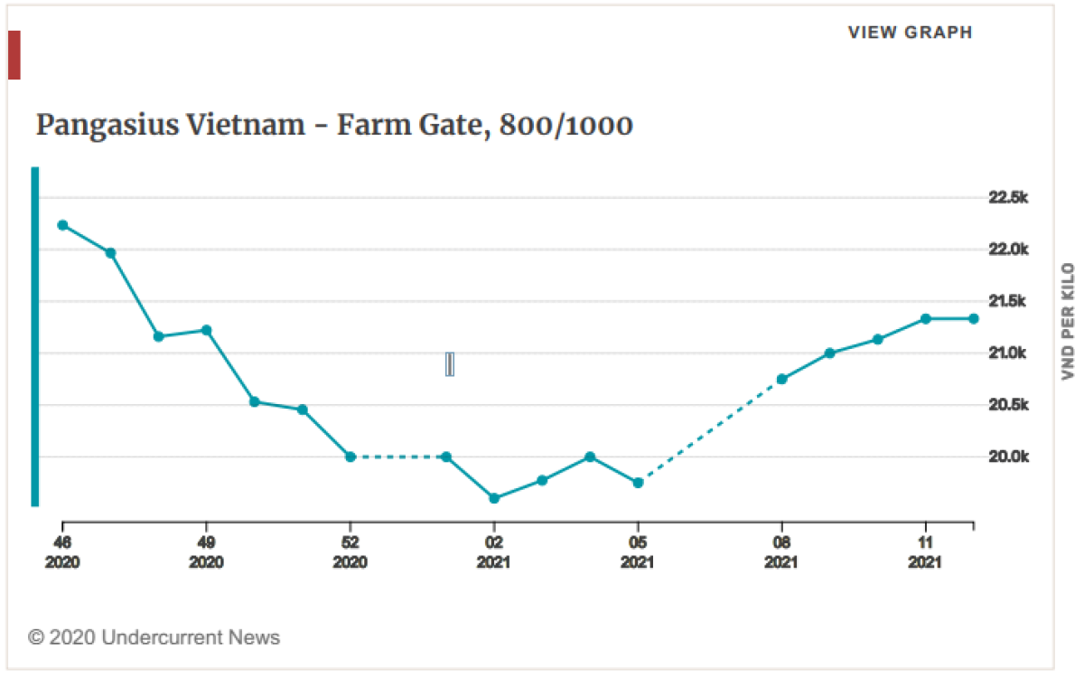Động th&aacute;i từ thị trường Trung Quốc c&oacute; ảnh hưởng tới gi&aacute; c&aacute; tra Việt Nam?